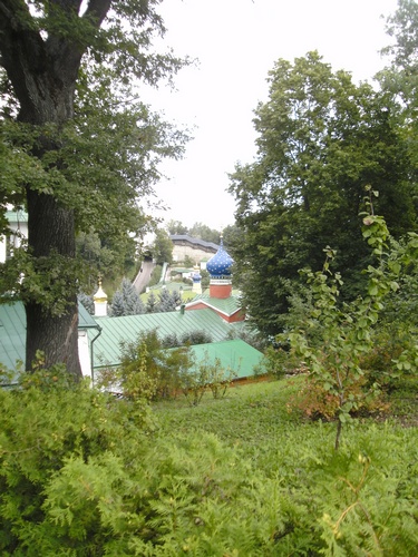 14.jpg