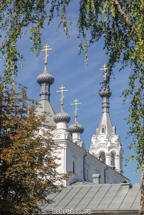 16.jpg